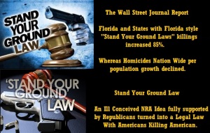 STAND YOUR GROUND LAW
